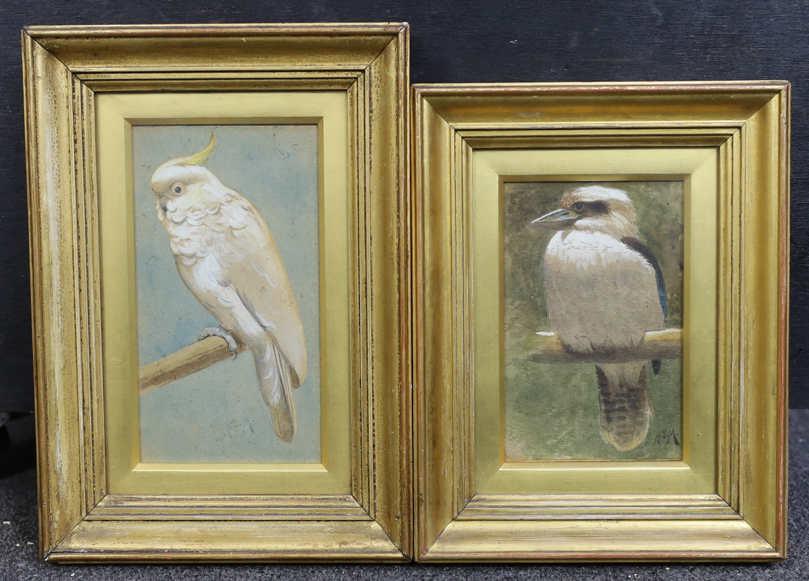 Henry Stacy Marks R.A., (British, 1829-1898), Kookaburra & Scarlet Crested Cockatoo, watercolour and gouache (2), 14 x 9cm & 17 x 9cm